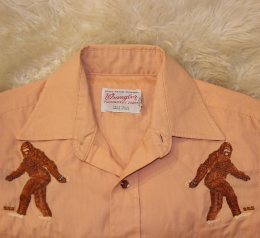 The Hunt for Sasquatch